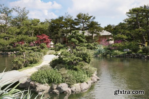 Maxtree – Plant Models Vol.55