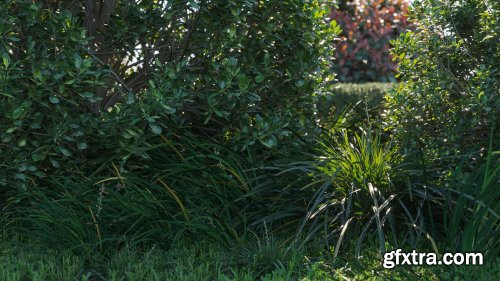 Maxtree - Plant Models Vol. 58