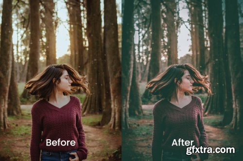 Imel Lightroom Presets Dekstop and Mobile