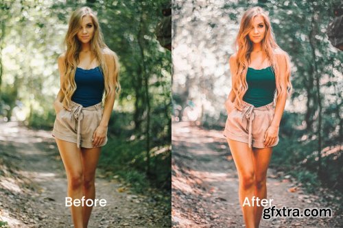 Fani Lightroom Presets Dekstop and Mobile