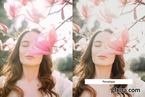 CreativeMarket - 20 Olive and Rose Lightroom Presets & LUTs 6237746