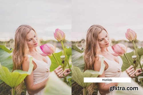 CreativeMarket - 20 Olive and Rose Lightroom Presets & LUTs 6237746