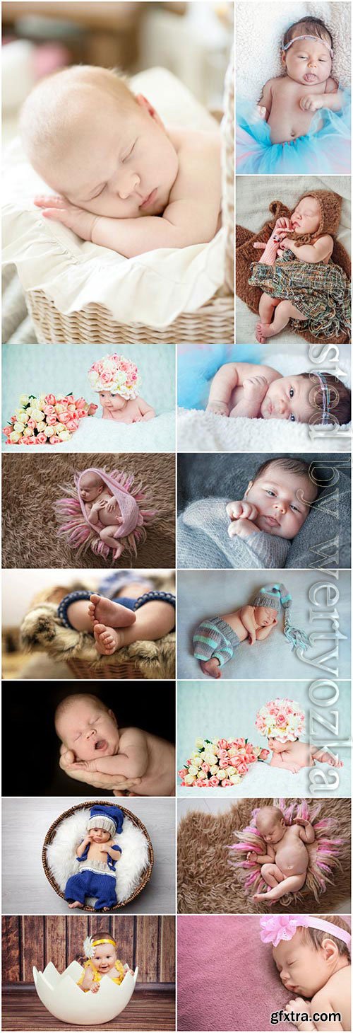 Newborn babies photo session stock photo Newborn babies photo session stock photo