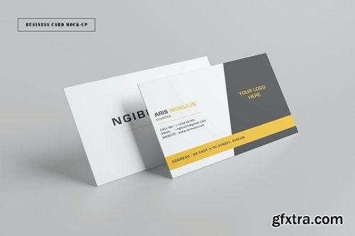 Business card Mockup VL