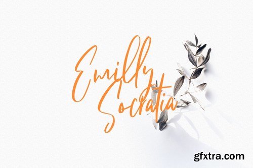 Fit Fleet Script Font