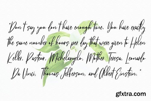 Fit Fleet Script Font