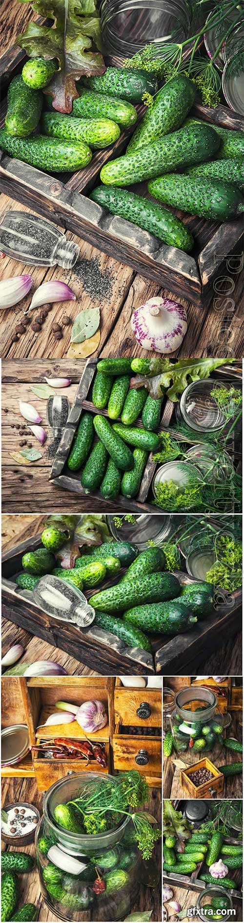 Cucumbers, garlic and dill stock photo Cucumbers, garlic and dill stock photo