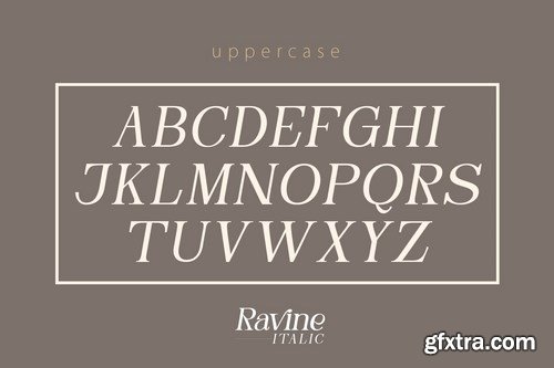 RAVINE ITALIC - Modern Serif