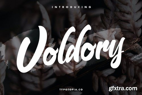 Voldory Modern Script Font