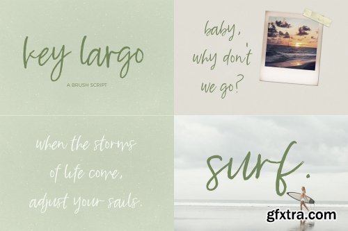 CreativeMarket - The Brush Font Bundle 4505486