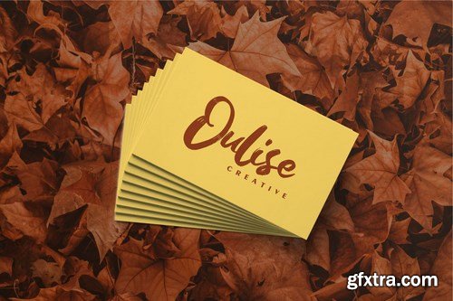 Entarel Modern Script Font