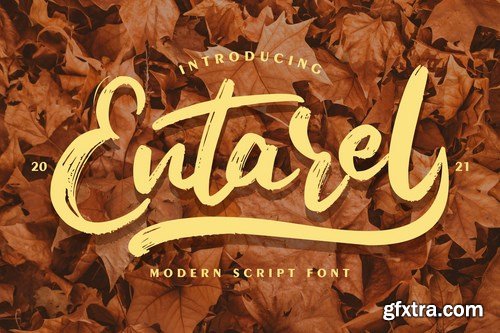 Entarel Modern Script Font