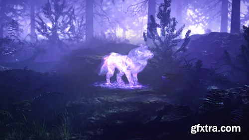 image_preview image_preview