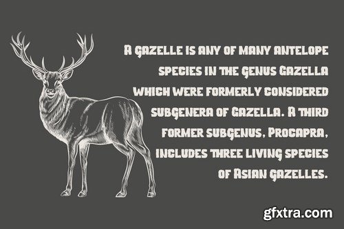 Jeigers Display Font