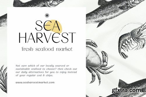 Wondermind - Classic Aesthetic Beauty Sans Serif