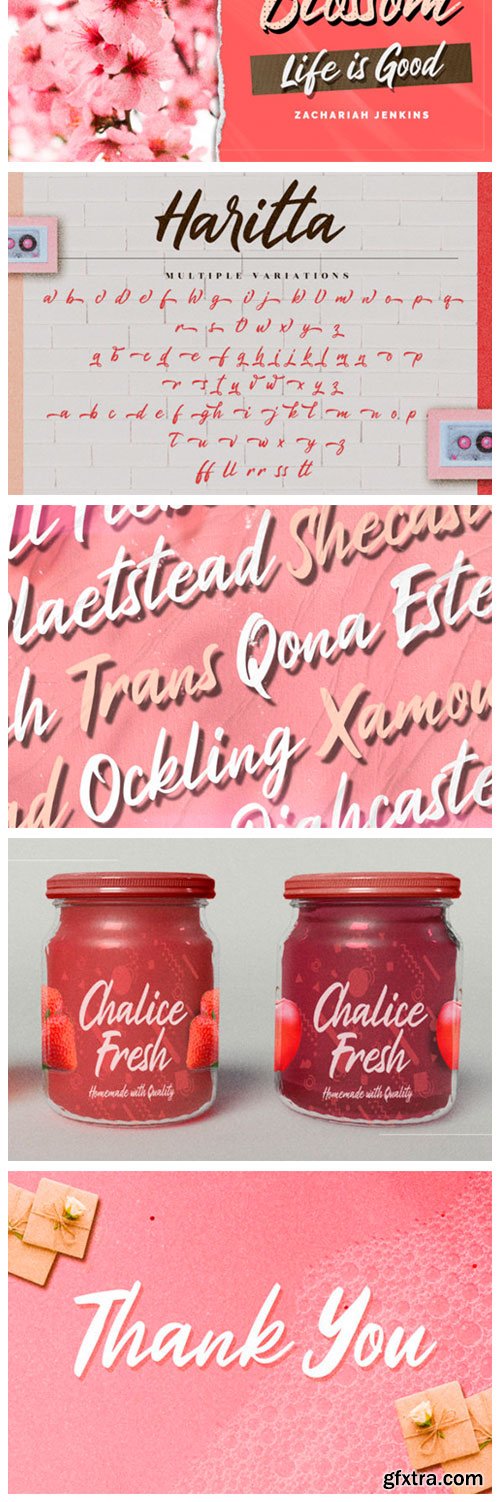 Haritta Script Font Haritta Script Font