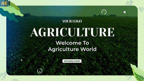 Videohive - Agriculture Slideshow | MOGRT - 33100479 - 33100479
