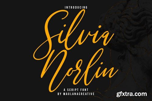 Silvia Norlin Beauty Signature Script Font