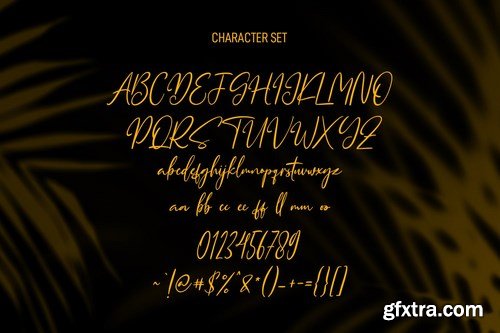 Queensytrix Signature Script Font