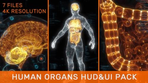 Videohive - Human Organs HUD UI Pack - 33251348 - 33251348