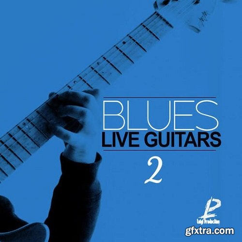 Luigi Production Blues Live Guitars 2 WAV