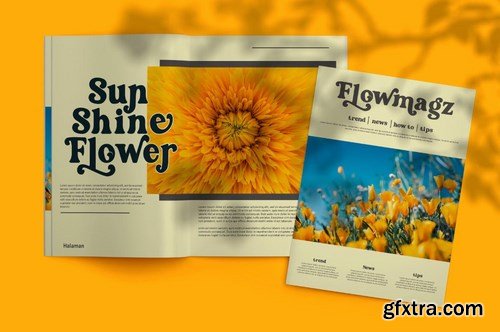 Omari Elegant Font Serif