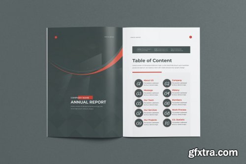 Annual Report 