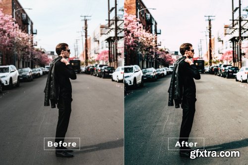 Garrman Desktop and Mobile Lightroom Preset