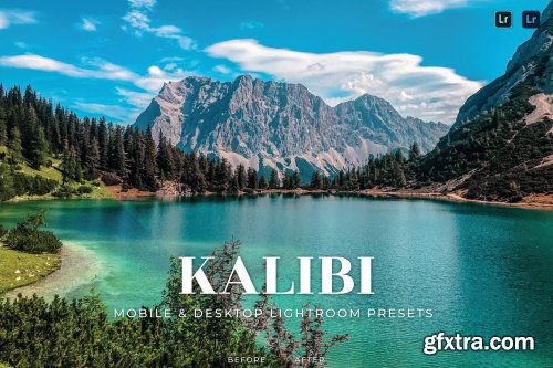 Kalibi Mobile and Desktop Lightroom Presets
