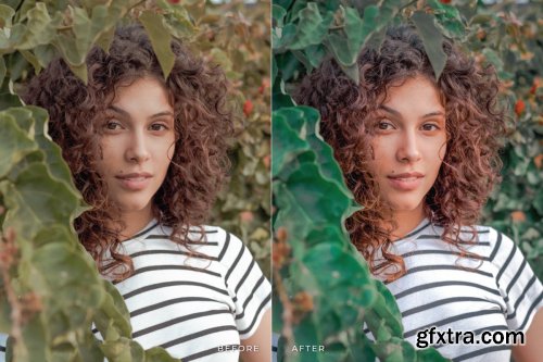 Kebun Mobile and Desktop Lightroom Presets