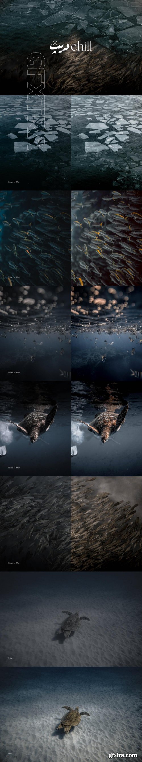 CreativeMarket - Deep Chill Lightroom DM Pack Preset 5793632