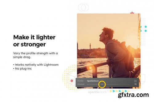 CreativeMarket - 20 Silhouette Lightroom Presets & LUTs 6258631
