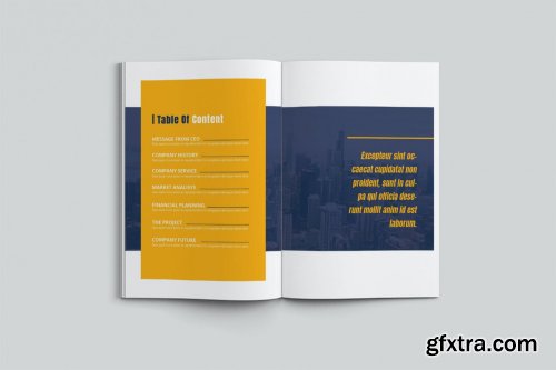 Business Company Profile