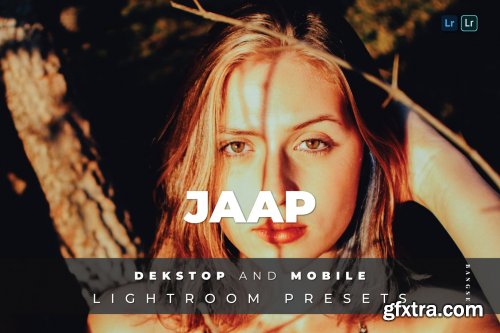 Jaap Desktop and Mobile Lightroom Preset