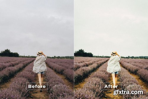 Kees Desktop and Mobile Lightroom Preset