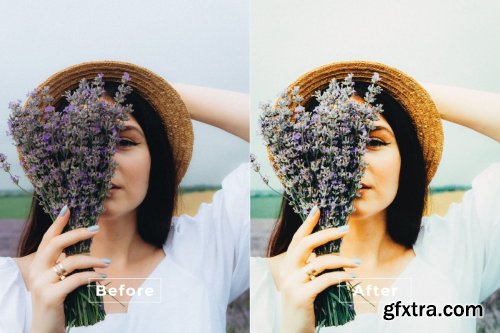 Kees Desktop and Mobile Lightroom Preset