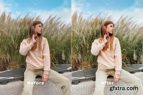 Karel Desktop and Mobile Lightroom Preset