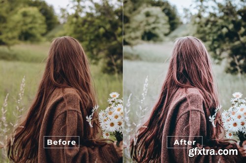 BheFaa Desktop and Mobile Lightroom Preset