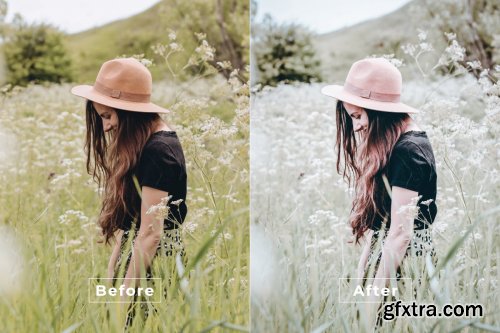 BheFaa Desktop and Mobile Lightroom Preset