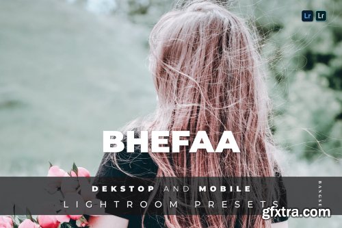 BheFaa Desktop and Mobile Lightroom Preset