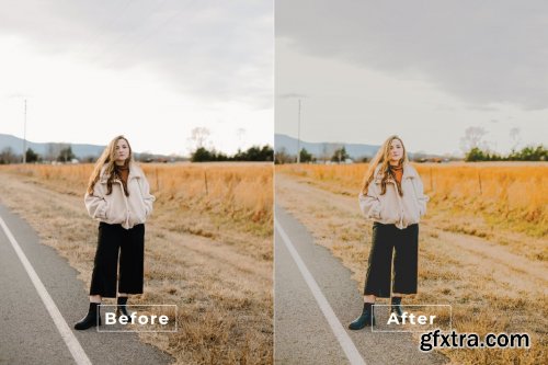 Bibi Desktop and Mobile Lightroom Preset