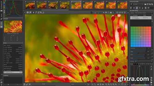 RawTherapee v5.8 (x64) Repackaged RawTherapee v5.8 (x64) Repackaged