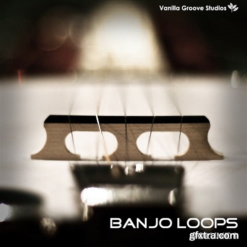 Vanilla Groove Studios Banjo Loops Vol 1 WAV