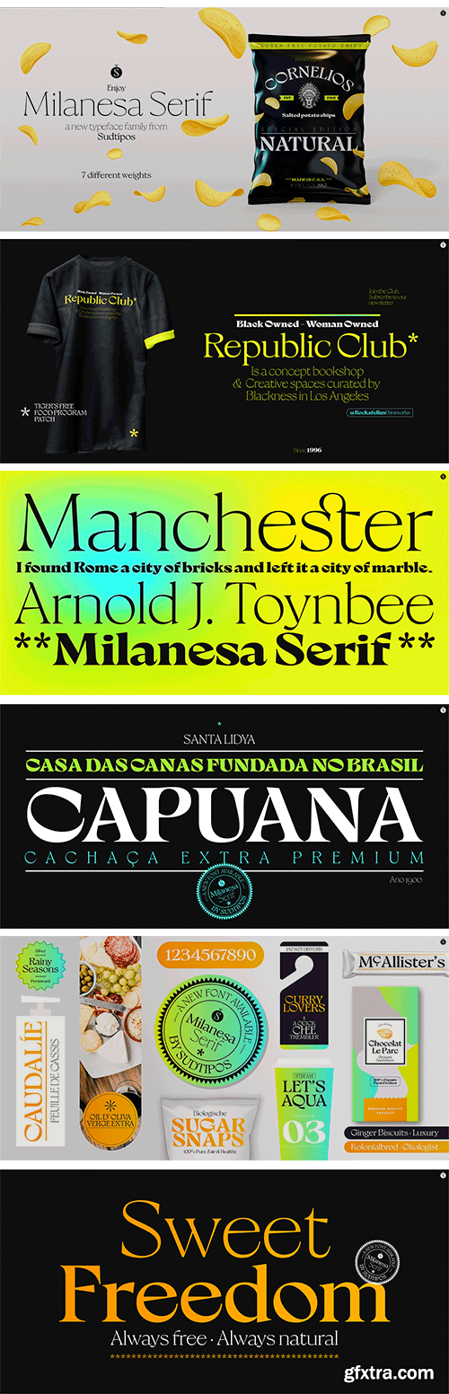 Milanesa Serif Font Family