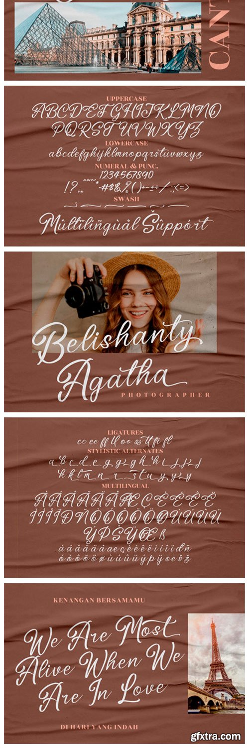 Washington Delmonte Font Washington Delmonte Font