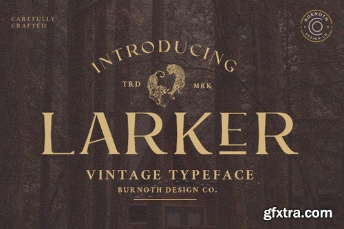 Larker - Vintage Font