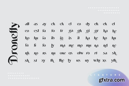 Dronefly Typeface