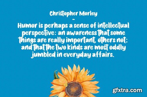 Rayden Skoter Display Font