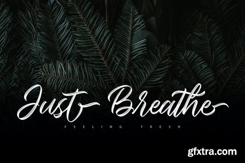 Seymore – Brush Script Font