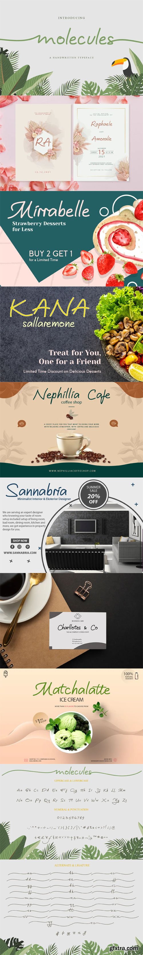 Molecules Script - Feminine Handwritten Font Molecules Script - Feminine Handwritten Font